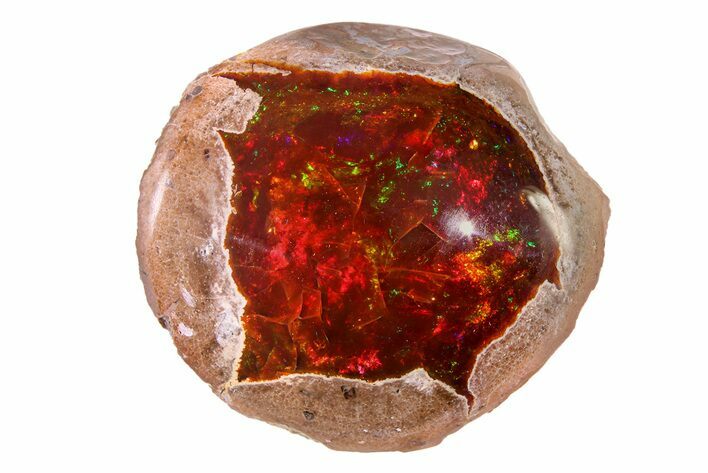 Polished Ethiopian Chocolate Opal Nodule - Yita Ridge #316184